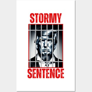 Stormy Sentence Trump Posters and Art